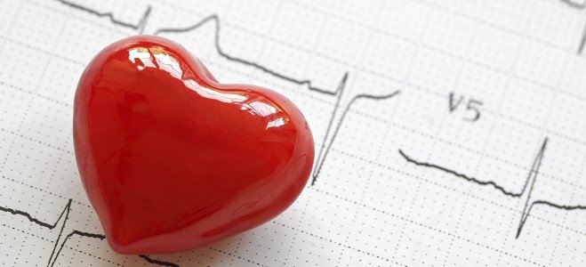 What to eat to raise good cholesterol