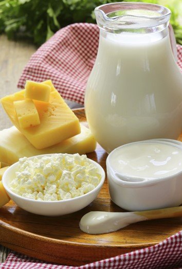 The best foods rich in calcium: keep your bones healthy